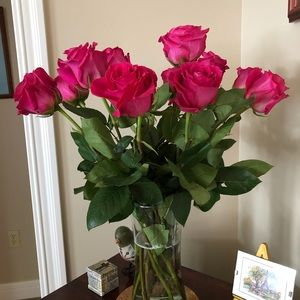 Meet your Posher, Jan